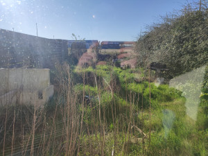 Photo de galerie - <AVANT> Entretient d'un jardin après 4 ans.