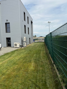 Photo de galerie - Tonte de pelouse - Débroussaillage