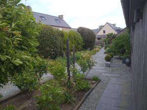 Photo de galerie - Entretien régulier tonte taille nettoyage allée  