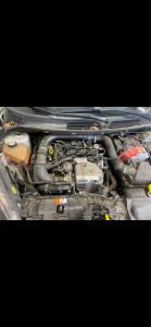 Photo de galerie - Distribution 1.0 ecoboost 