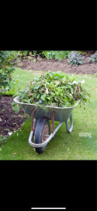 Photo de galerie - Ramassage de déchets verts 