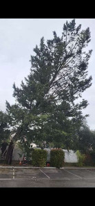 Photo de galerie - Après 