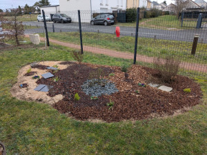 Photo de galerie - Création de massif 