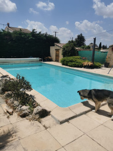 Photo de galerie - Entretien piscine