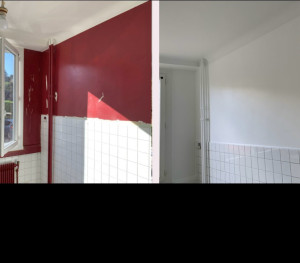 Photo de galerie - Avant et après 