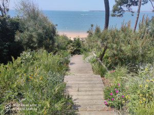 Photo de galerie - Jardin naturel dunaire, Pyla sur mer