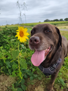 Photo de galerie - Petite pause 