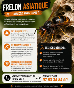 Photo de galerie - Traitement et éradication des nids de frelon asiatique, frelon européen et guêpes 
