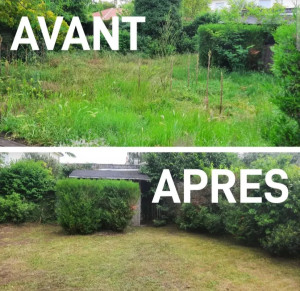 Photo de galerie - Tonte de pelouse - Débroussaillage