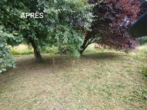Photo de galerie - Après, plus aucunes ronces et un joli jardin d'été frais gagné 