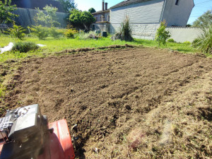 Photo de galerie - Jardinier