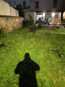 Photo de galerie - Débroussaillage et enlèvement des massif 