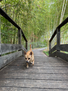 Photo de galerie - Poupi