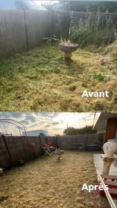 Photo de galerie - Tonte de jardin 
