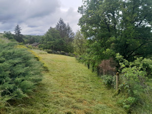 Photo de galerie - Remise en état d'un jardin 