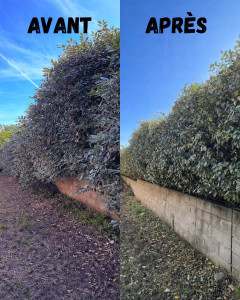 Photo de galerie - Petit avant après;)