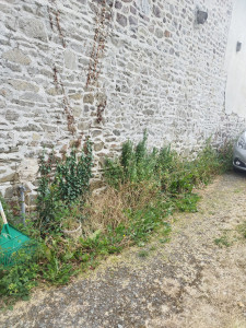 Photo de galerie - Avant 