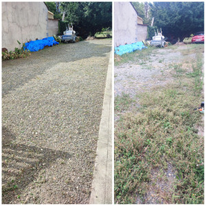 Photo de galerie - Nettoyage complet d'une cours.