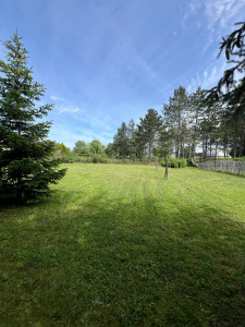 Photo de galerie - Tonte d’une grande parcelle en mulching.