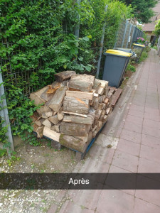 Photo de galerie - Après le rangement de 6 stères de bois 