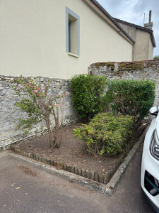 Photo de galerie - Mise au propre de haies