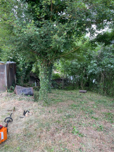 Photo de galerie - Paysagiste - Aménagement du jardin