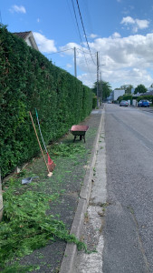 Photo de galerie - Jardinage haies