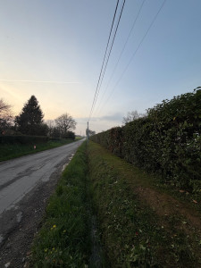 Photo de galerie - Tonte de pelouse - Débroussaillage