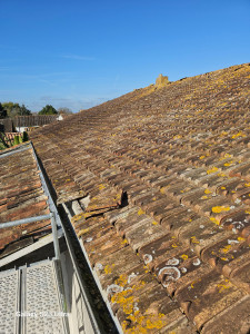 Photo de galerie - Couverture - Toiture