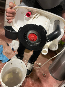 Photo de galerie - Entretien une pompe de relevage (après )