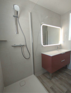 Photo de galerie - Pose et raccordement des éléments sanitaires (mitigeur et colonne de douche) Pose du meuble, miroir et paroie