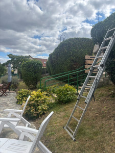 Photo de galerie - Taille de haie 