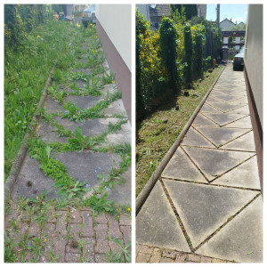 Photo de galerie - Paysagiste - Aménagement du jardin