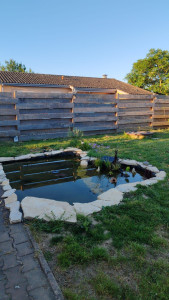 Photo de galerie - Création bassin à poisson 