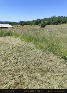 Photo de galerie - Débroussailleuse 