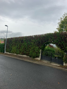 Photo de galerie - Entretien d espaces vert et maçonnerie 