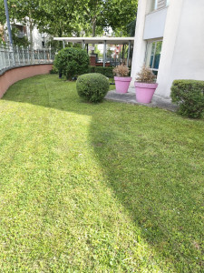 Photo de galerie - Tous travaux de jardinage 
 taille-haies 
rotofil 
tondeuse 
élagage arbre et buisson 
