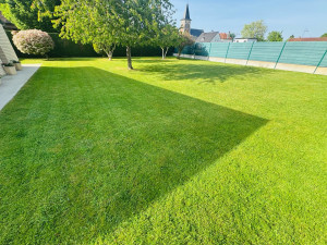 Photo de galerie - Tonte 