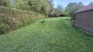 Photo de galerie - Tonte grand terrain 