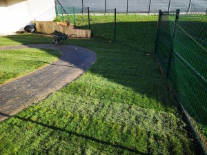 Photo de galerie - Gazon de plaquage 