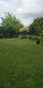 Photo de galerie - Tonte de pelouse 