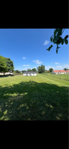 Photo de galerie - Tonte