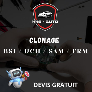 Photo de galerie - Clonage BSI /  UCH / SAM / FRM