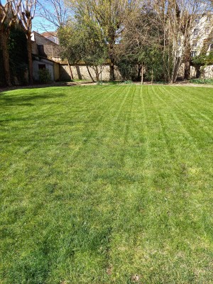 Photo de galerie - Paysagiste - Aménagement du jardin