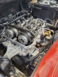 Photo de galerie - Distribution 