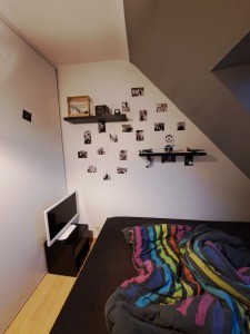 Photo de galerie - Peinture - Tapisserie