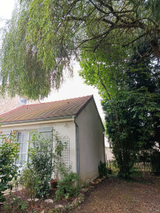 Photo de galerie - Elagage et coupe d'arbres