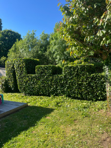 Photo de galerie - Taille de haie