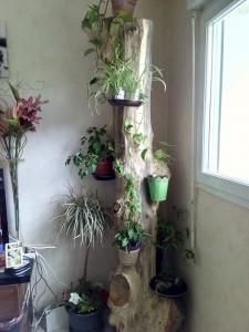 Photo de galerie - Bricolage et multi services