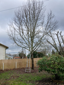 Photo de galerie - Jardinier